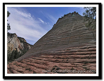 Zion: Checkerboard Mesa