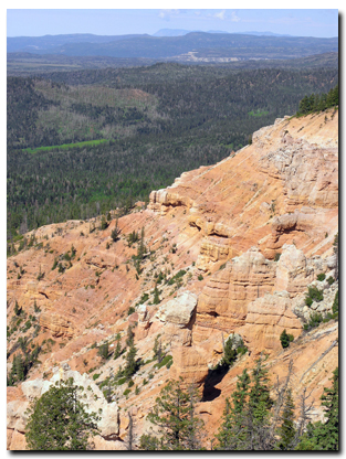 Virgin River Rim Trail