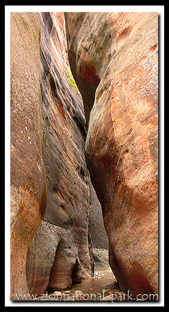 Zion Narrows