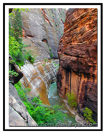 Zion Narrows