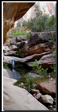 Zion Park:  Pine Creek Waterfall