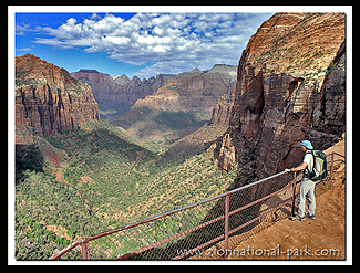 Canyon Overlook Trail overlooking Zion's Switchbacks
