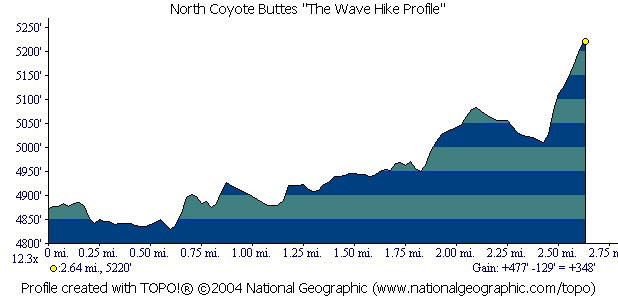 Wave Profile